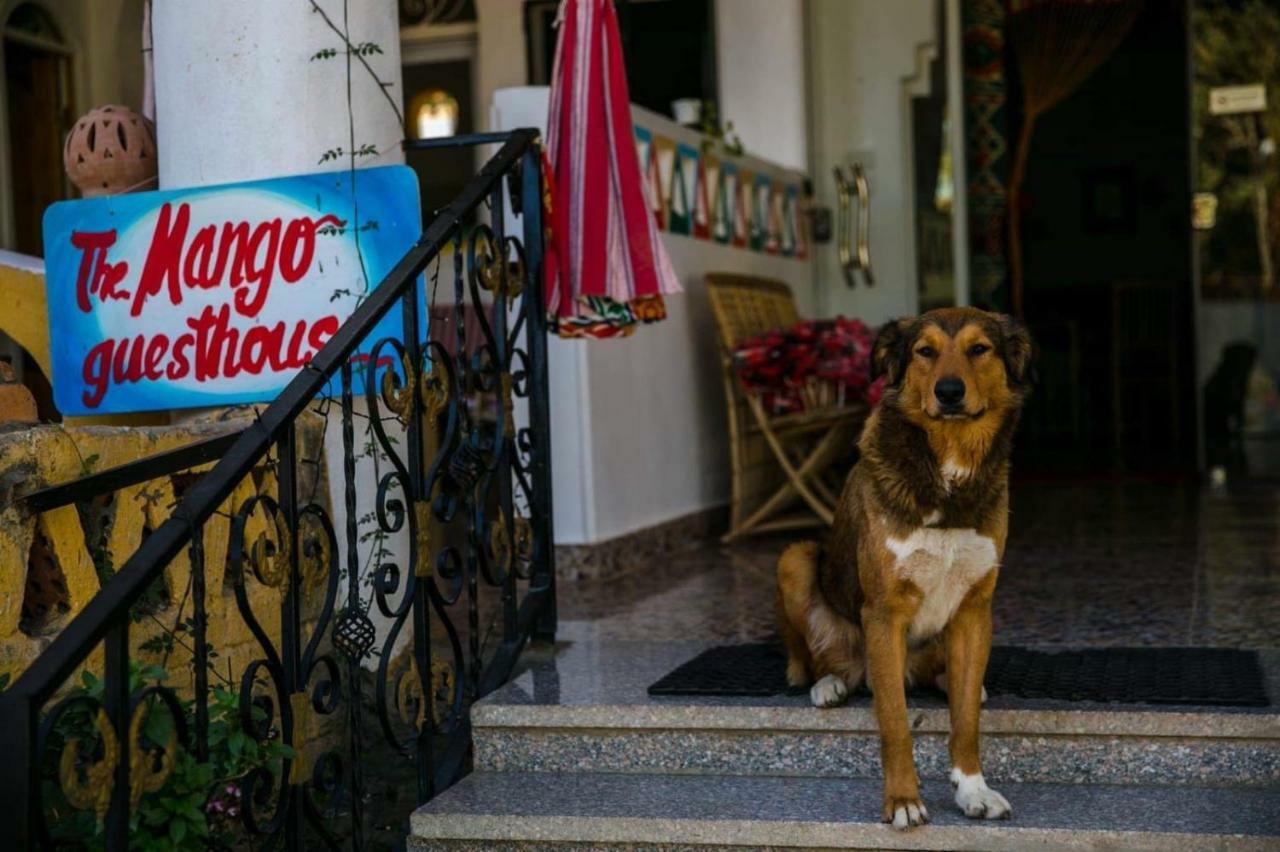 The Mango Guest House Асуан Екстериор снимка